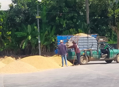 แนะนำแนวทางการขอรับสนับสนุนเงินอุดหนุนและติดตามผลการรวบรวมข้าวเปลือกปีการผลิต 2567/68 ของ สหกรณ์การเกษตรแม่จัน จำกัด ... พารามิเตอร์รูปภาพ 11
